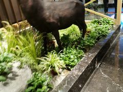 -梁家大院•农家菜(昆山会展中心店)