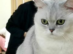 -猫和宫(六道口店)