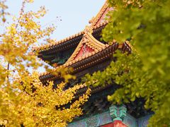 -故宫博物院(故宫)