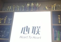 -心联形象设计·流星染