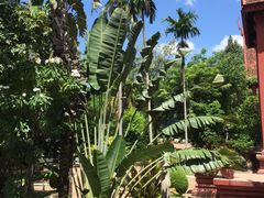 -柬埔寨国家博物馆