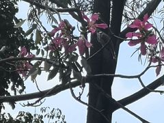-云溪植物园