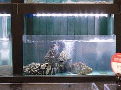 -将相和·海鲜蒸饺大连菜