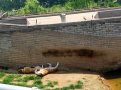 -西霞口神雕山野生动物世界