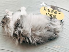-美联众合爱康动物医院•复杂内科•肿瘤科•牙科•腔镜诊疗中心