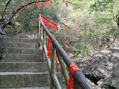 -大海别墅民宿农家院(十渡店)