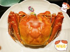 -环球港凯悦 · 享悦中餐厅