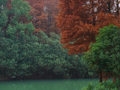 -贡湖湾湿地公园