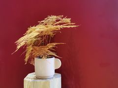 -二酉书店TOYOU BOOKS