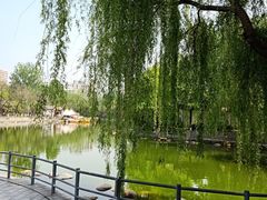 -莲湖公园