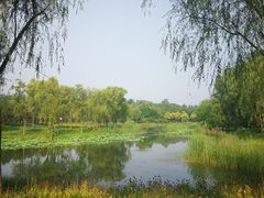 -东郊湿地公园