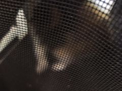 -伟伟宠物医院·CT影像中心·瑞派犬猫综合性门诊(汉口总院)