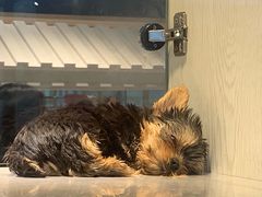 -乐宠宠物店(世纪金源店)