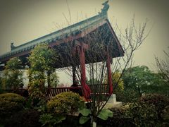 -龙头寺公园