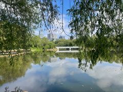 -长春市南湖公园