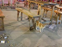 大堂-清真海鲜大排档(原芥园道店)