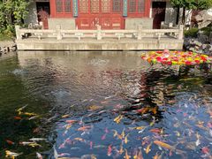 -下海庙