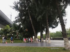 -宝安西湾红树林湿地公园