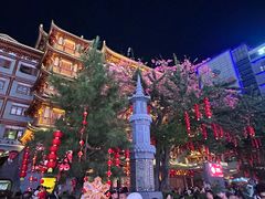 -越秀西湖花市(广州城市广场花卉店)