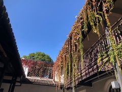 -绍兴鲁迅故里·沈园景区