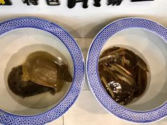 -张大师鸭爪爪特色干锅(南湖店)