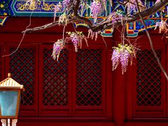 -北京国子监胡同