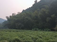 -杭州西湖风景名胜区-三生石