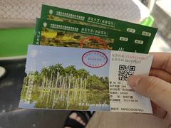 -中国科学院西双版纳热带植物园