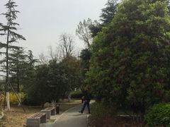 -徐州博顿温德姆酒店(高铁东站店)