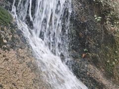 -六里坪国家森林公园