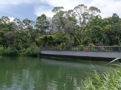 -四海公园(南山区)