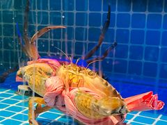 -南棠馆粤菜坊(群光店)