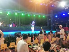 -渔家火锅·海鲜自助餐·演艺(亚龙湾天域酒店)