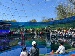 -陶祖圣境风景区