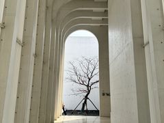 -中国宣纸文化园