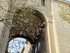 -武汉大学-樱园