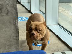 -HALO SOUL COFFEE·咖啡·甜品·简餐(嘉年华海信广场店)