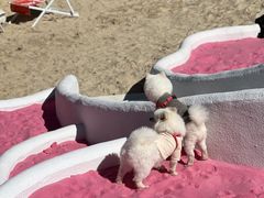 -名花谷生态庄园