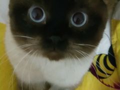 -北京恒爱动物医院(清景园分院)