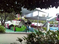 -布里斯班南岸公园
