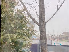 -长沙湘江冰雪世界