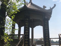 -嵖岈山风景区