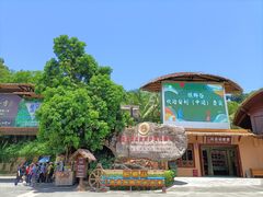 -海南槟榔谷黎苗文化旅游区