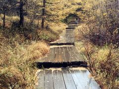 -苏木山森林公园