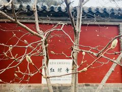 -红螺寺