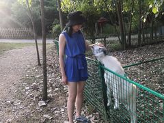 -扬州天乐湖嬉乐谷