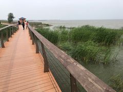 -卧龙湖