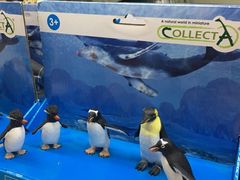 -TOYSRUS玩具反斗城(成都环球中心店)