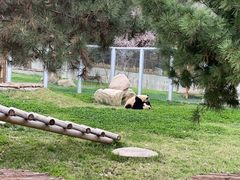 -西安秦岭野生动物园