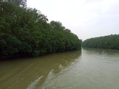 -大湾区中央湿地公园